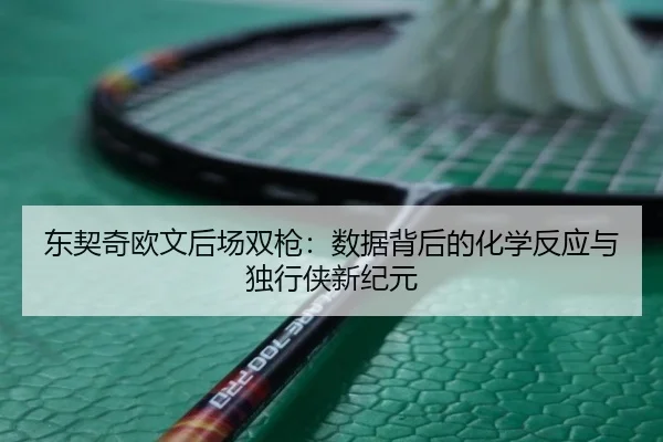 东契奇欧文后场双枪：数据背后的化学反应与独行侠新纪元