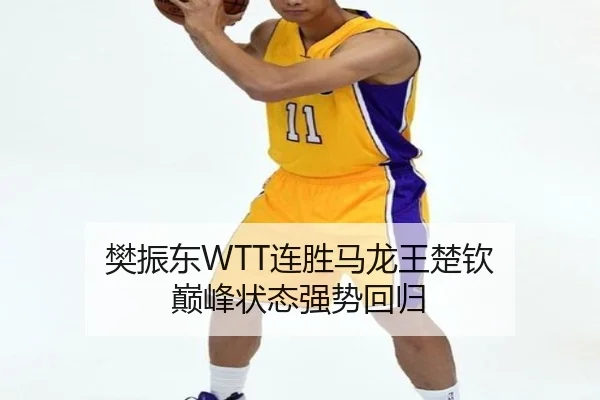 樊振东WTT连胜马龙王楚钦 巅峰状态强势回归