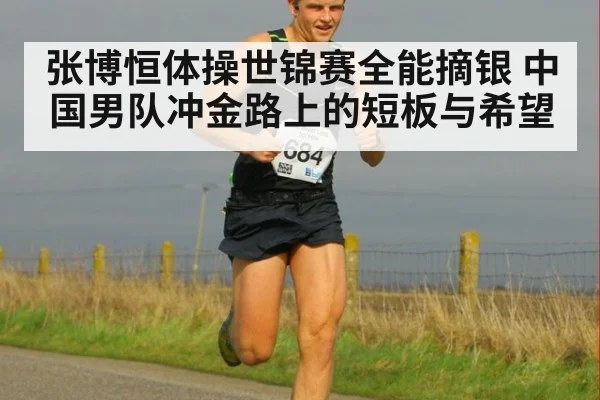 张博恒体操世锦赛全能摘银 中国男队冲金路上的短板与希望